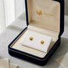 18K Pure Gold Round Screw Earring Set